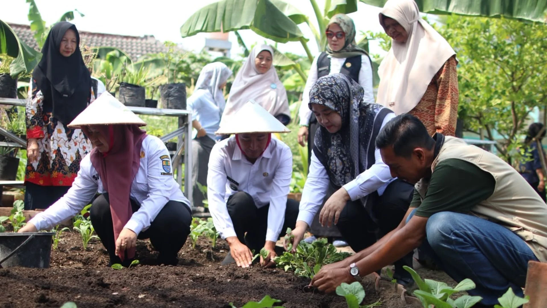 Wakil Wali Kota : Ketahanan Pangan Keluarga Jadi Benteng Utama Melawan Stunting